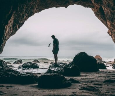secret_shelters